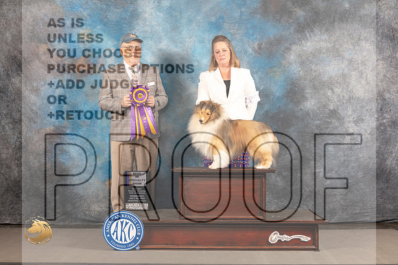 Shetland Sheepdog #29 WED BOB Judge Robert Olsen_MJ_2630_Houston_2022_HR3