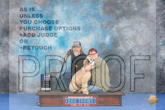 Poodle Standard #84 WED 1st RN Judge Richard Mullen__JP_6905_Houston_2024_HR3