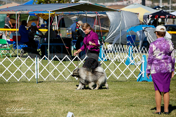 _JJ_1582-AlamogordoOct2014-HR3