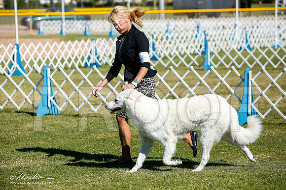 _JJ_4546-AlamogordoOct2014-HR3