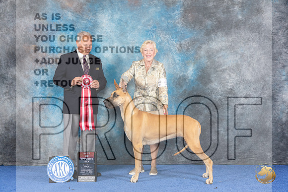 Great Dane #6 WED BOS Judge James Remaklus__JP_6799_Houston_2024_HR3