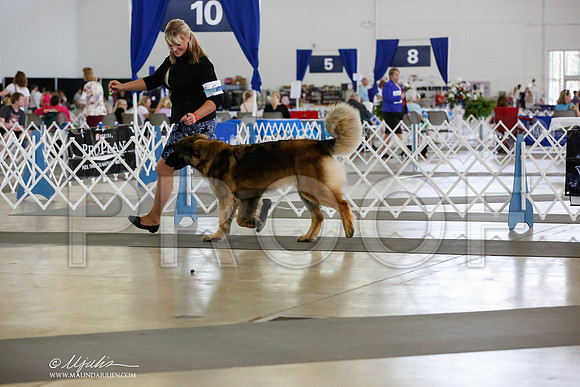 _JN_3467-DallasJul2014-HR3