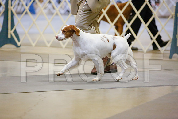 _JJ_6917-AmarilloSept2014-HR3
