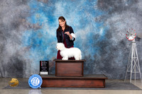 Coton de Tulear #10 Sun BOSMCH Judge Gary Andersen