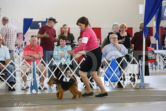 _JJ_2035-DallasJul2014-HR3