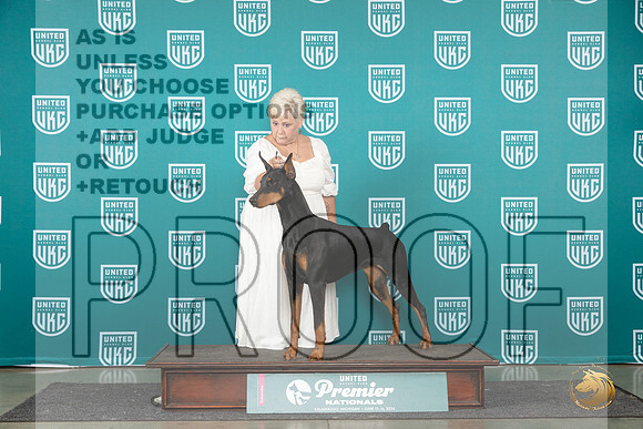 Doberman Pinscher #1266 RCH Judge Lori Sargent__JP_2178_Premier_2024_HR3