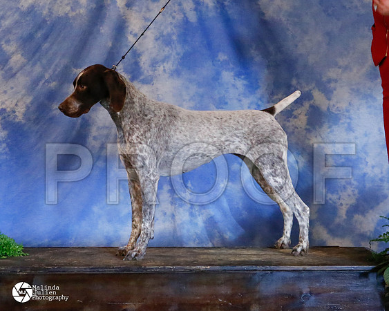 GSP-9819-HstnMar2014-HR3
