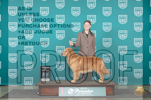 Golden Retriever #970 #969__JP_2103_Premier_2024_HR3