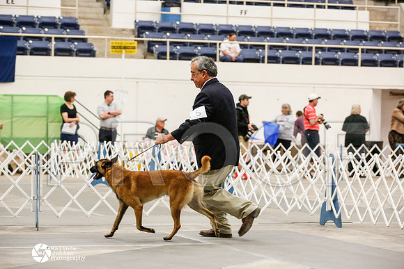 _JJ_8933-AblnMay2014-web