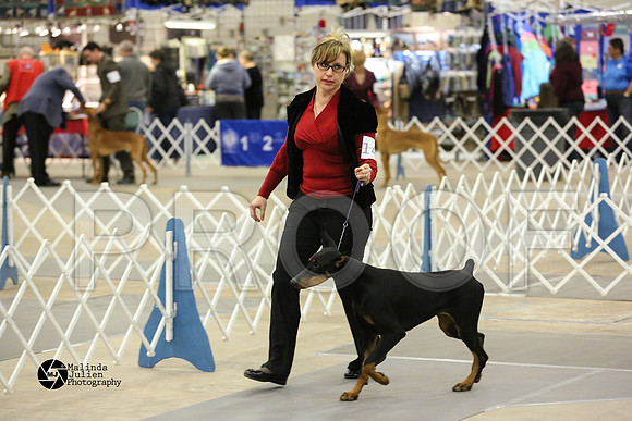 dobe-4894-MidFeb14-HR