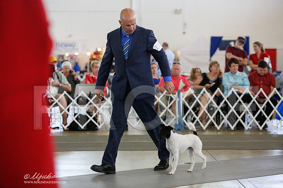 _JJ_2368-DalJul2014-HR3