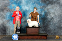 Coton #17 Sun BOWWEM Judge Sharon Newcomb