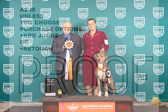 LCLD #201 Sat BISS Judge Larry Hansen__JP_2231_UKCEastern_2024_HR3