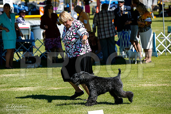 _JJ_5116-AlamogordoOct2014-HR3
