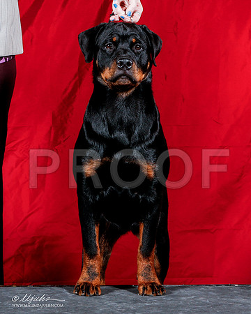 _ST_1770-2-AmarilloSep2014-HR3