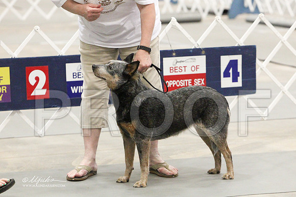 ACD-5887LR