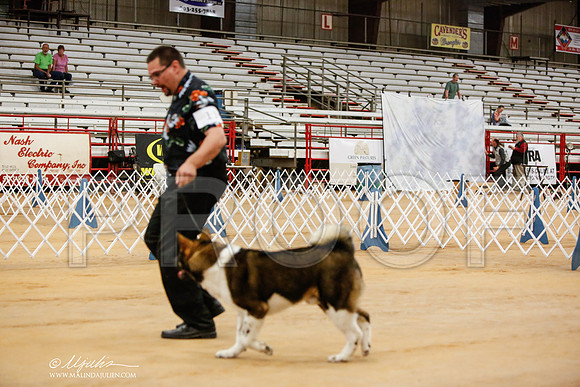 _JN_5369-TxArJun2014-HR3