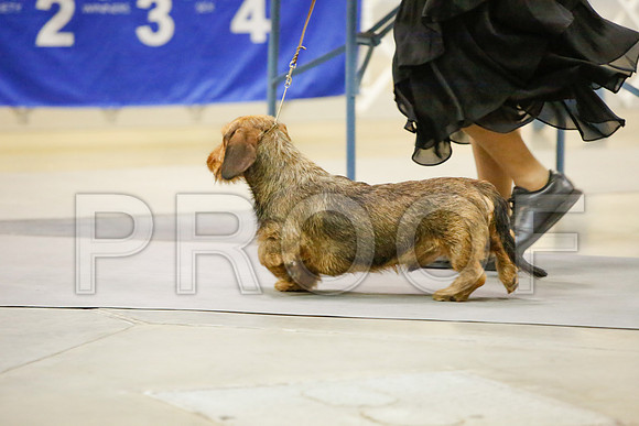 _JJ_3385-AmarilloSept2014-HR3