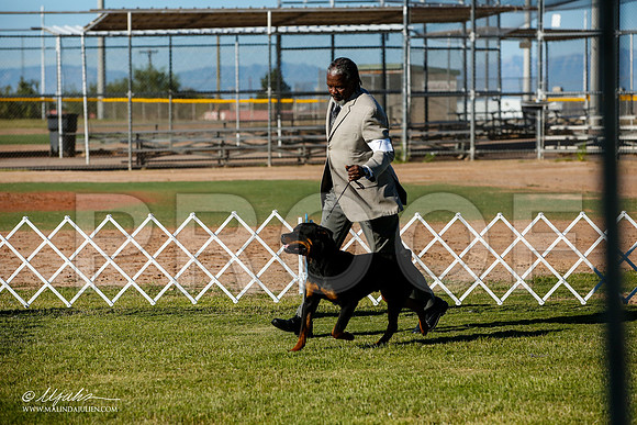 _JJ_8916-AlamogordoOct2014-HR3