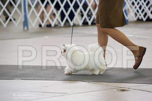_CK_3020-DallasJul2014-HR3