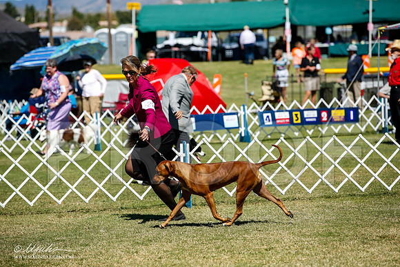 _JJ_0666-AlamogordoOct2014-HR3