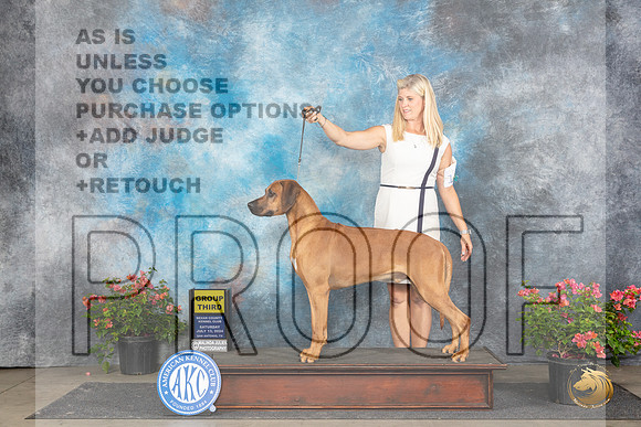 Rhodesian Ridgeback #15 Sat G3 Judge Victor Rosado __JP_5518_San Antonio_2024_HR3
