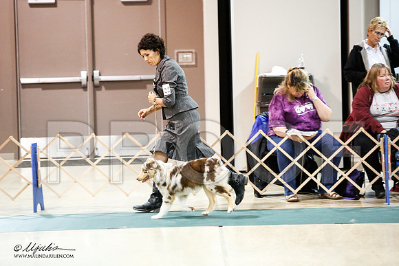 _JJ_1143-ASCACollegeStationNov2014-HR3