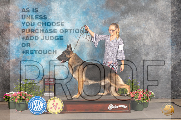 German Shepherd Dog #9 Thur G2 Judge David  Bolus_MJ_0011_SA_2022_HR3