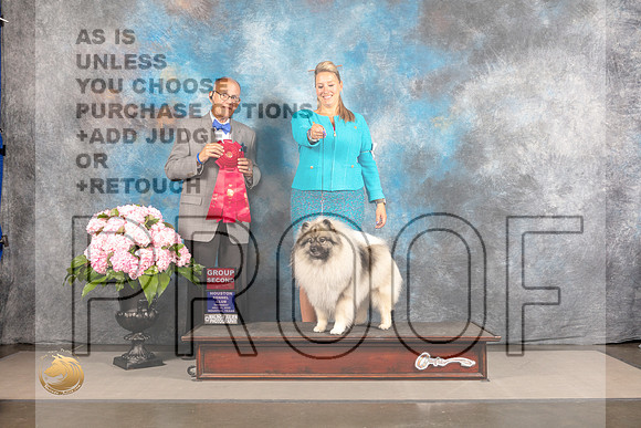 Keeshond #6 Thur G2 Judge Luis Sosa_MJ_4644_Houston_2022_HR3