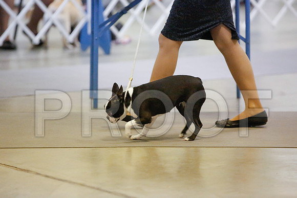 _JN_7419-AmarilloSept2014-HR3