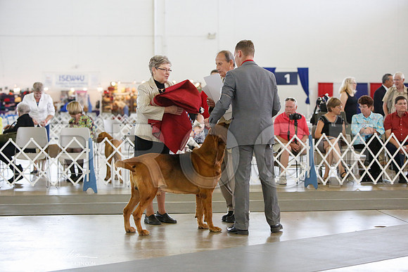 _JJ_2936-DallasJul2014-HR3