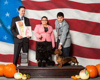 Poodles Miniature #J602 Dachshunds Smooth #J500 Sat BJ Judge Mr Brian P Livingston