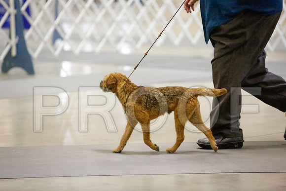 _JN_0281-AmarilloSept2014-HR3