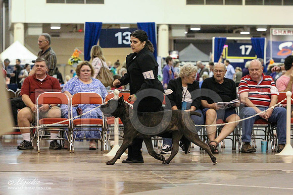 Cane-0318 PROOF