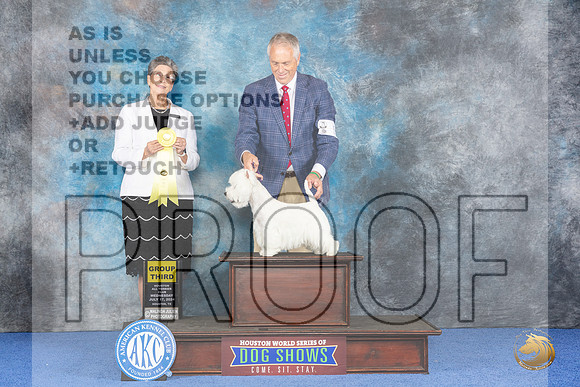 Westhighland White Terrier #5 WED G3 Judge Christine Erickson__JP_6999_Houston_2024_HR3