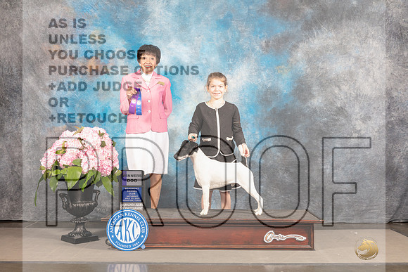 Smooth Fox Terrier #11 Sat WD Judge Barbara Alderman-_MJ_7337e-Hstn2022_HR3