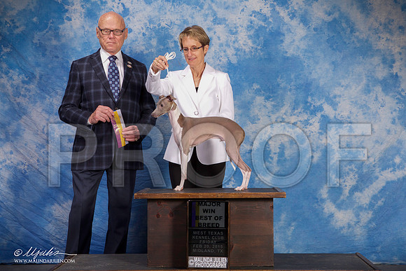 SS2_0632-BeltonJan2015IABCA-HR3