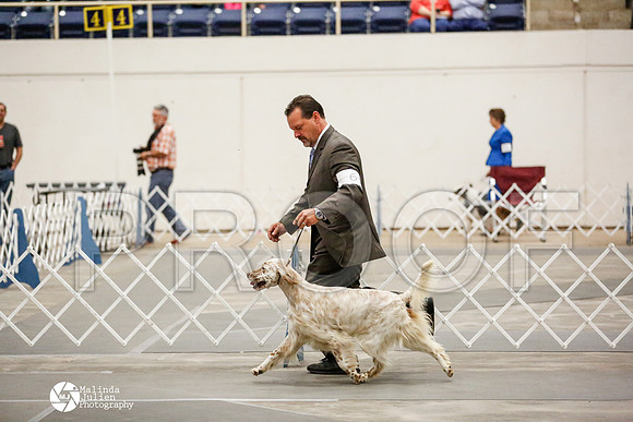 _RH_4482-AblnMay2014-web