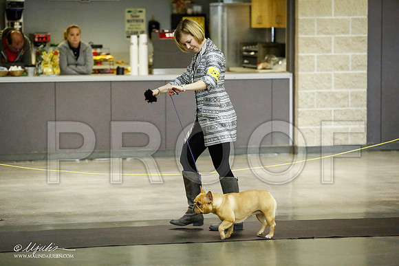 _JJ_5573-BeltonJan2015IABCA-HR3