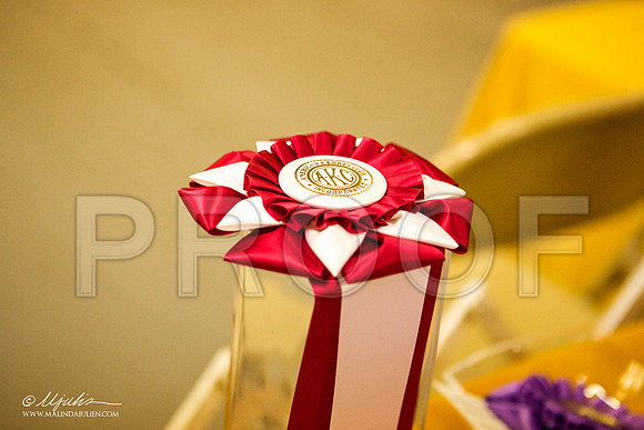 _ST_2328-GRCAOct2013-HR3