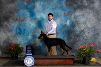 Beauceron #5 Sun BPupG2 Judge Christie Martinez