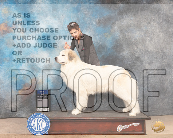 Great Pyrenees #7 FW BOW Judge Steve Keating-MMJ_4882-Abilene2022-HR3