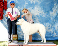 Kuvasok #7 Sat G2 Dash Gail S & Neil Berger Judge Col Joe Purkhiser +A2