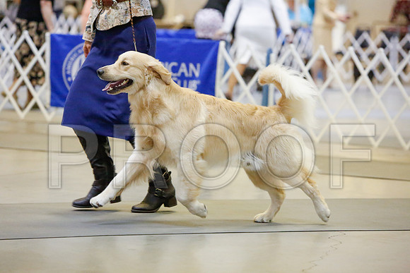 _JJ_2229-AmarilloSept2014-HR3