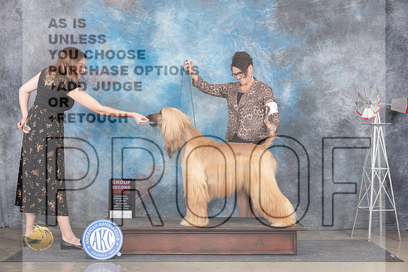Afghan Hound #6 Sat G2 Judge Pat Trotter__JP_5984_Amarillo_2024_HR3