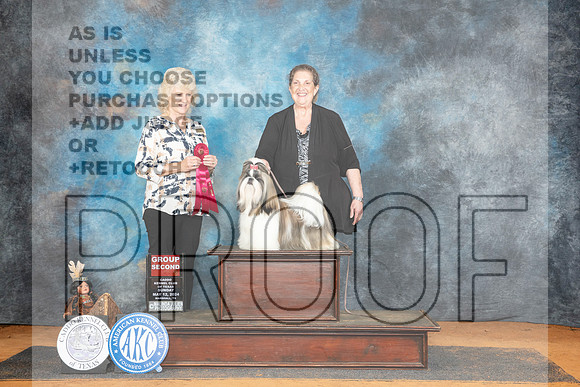 Shih Tzu #8 Sun G2 Judge Lisa Graser__JP_8759_MARSHALL_2024_HR3