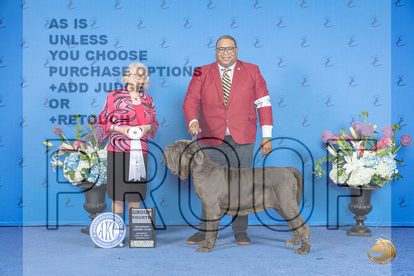 Mastiff # SAT G4 Judge Annella Cooper__JP_0034_Houston_2024_HR3