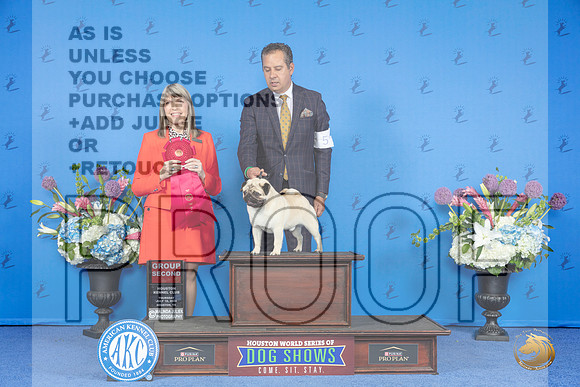 Pug #5 THUR G2 Judge Angela Pickett__JP_8545_Houston_2024_HR3