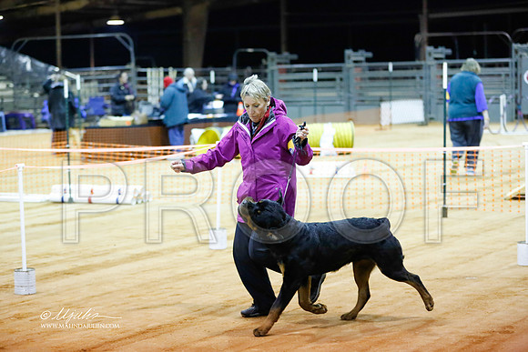 rott-0332-MrshlDec13-HR