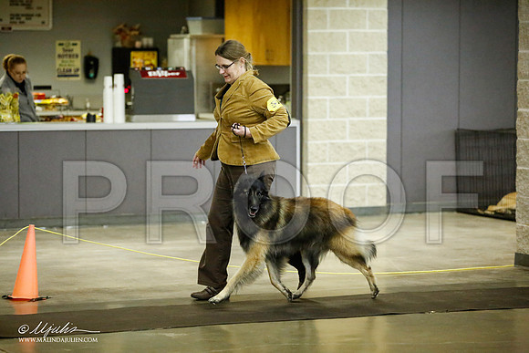 _JJ_6128-BeltonJan2015IABCA-HR3